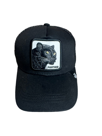 Panther Mode 🖤 – Confidence in Motion