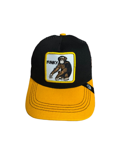 Stay Funky – The Monkey Vibes